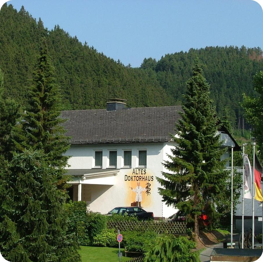 Altes Doktorhaus - Hotel Garni Willingen  Esterno foto