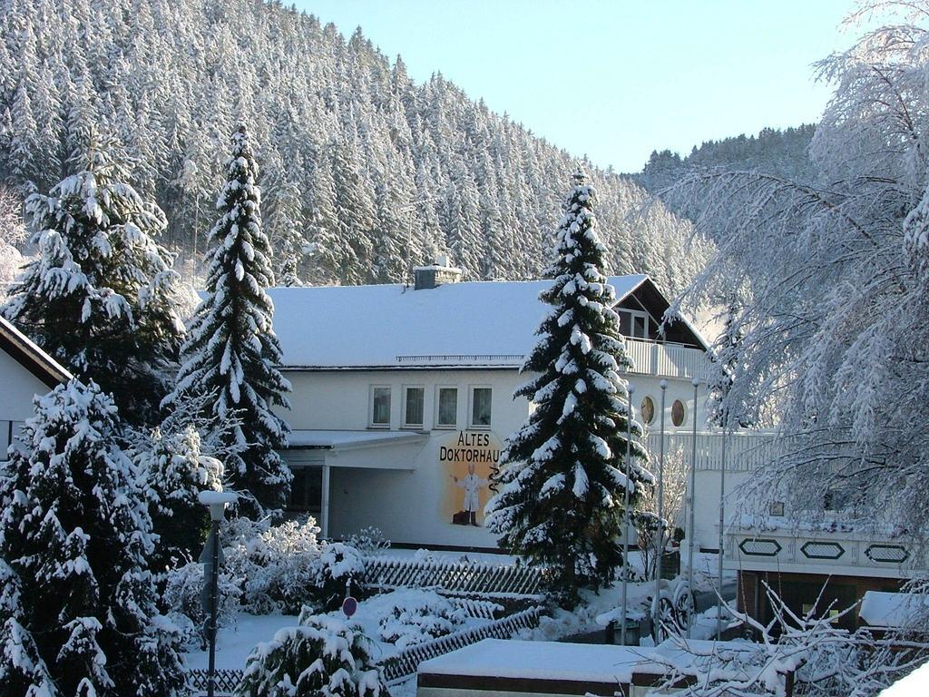 Altes Doktorhaus - Hotel Garni Willingen  Esterno foto